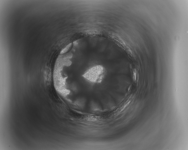 X0000100921251200807221108