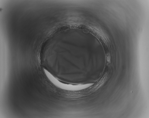 X0000100921252200807221108