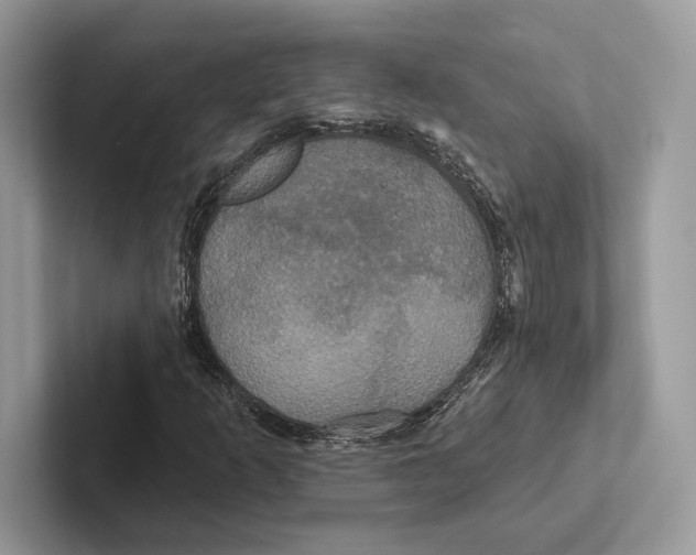 X0000100921253200807221108