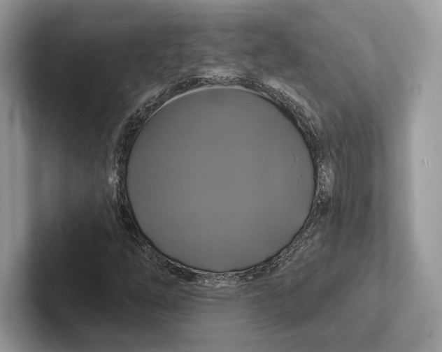 X0000100921254200807221108
