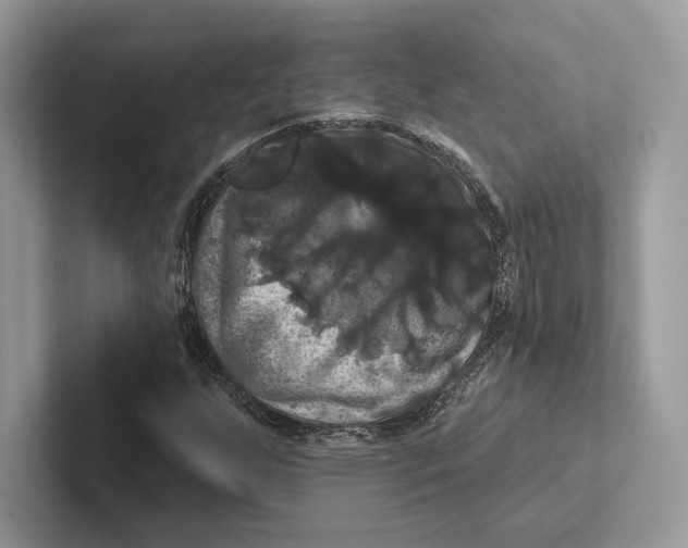 X0000100921255200807221108