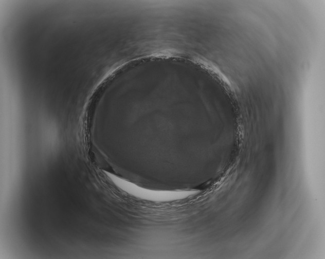 X0000100921256200807221108