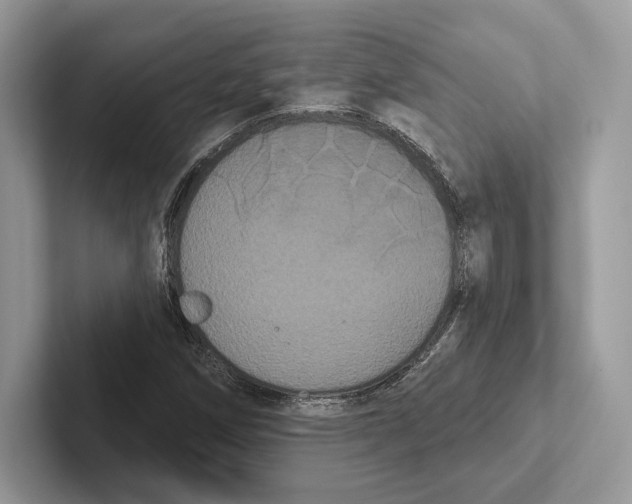 X0000100921258200807221108