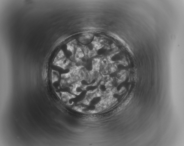 X0000100921259200807221108