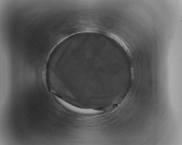 X0000100921260200807221108