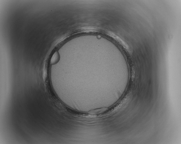 X0000100921261200807221108