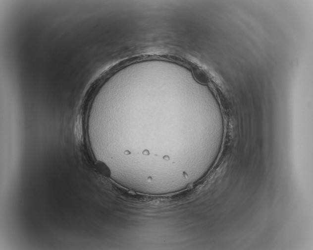 X0000100921262200807221108