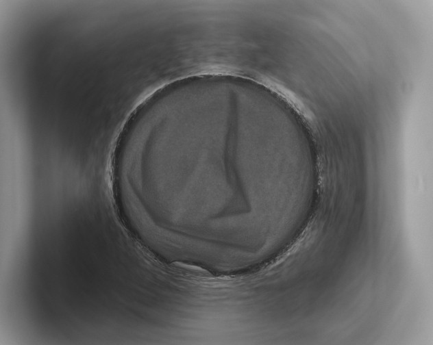 X0000100921264200807221108