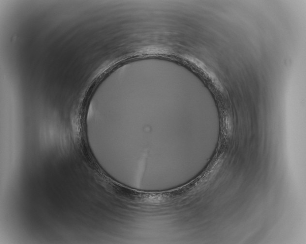 X0000100921266200807221108