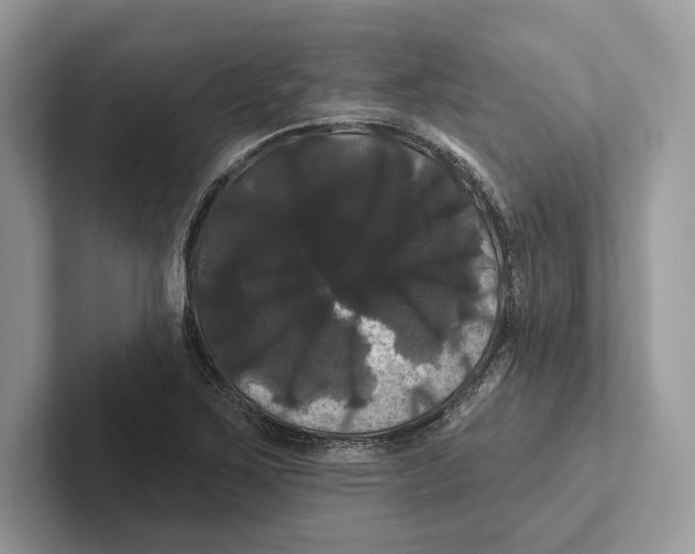X0000100921267200807221108