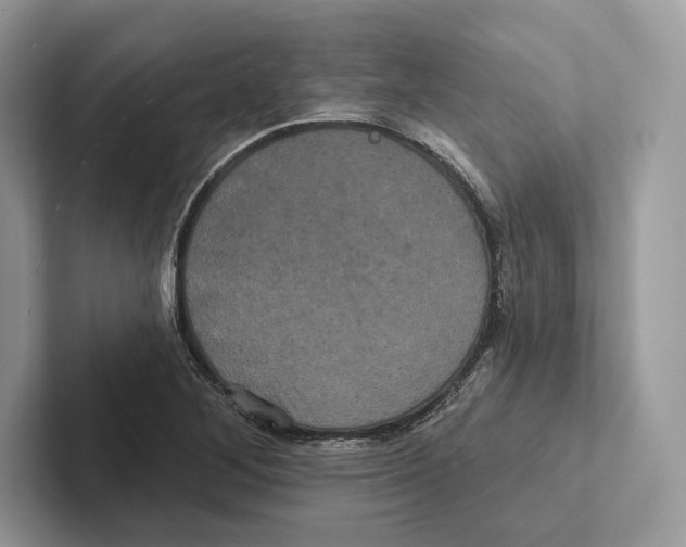 X0000100921268200807221108