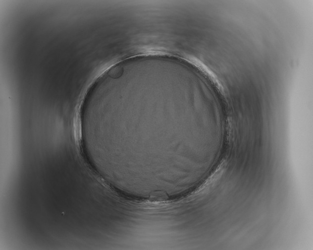 X0000100921269200807221108