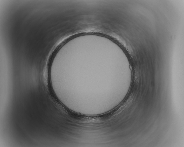 X0000100921270200807221108