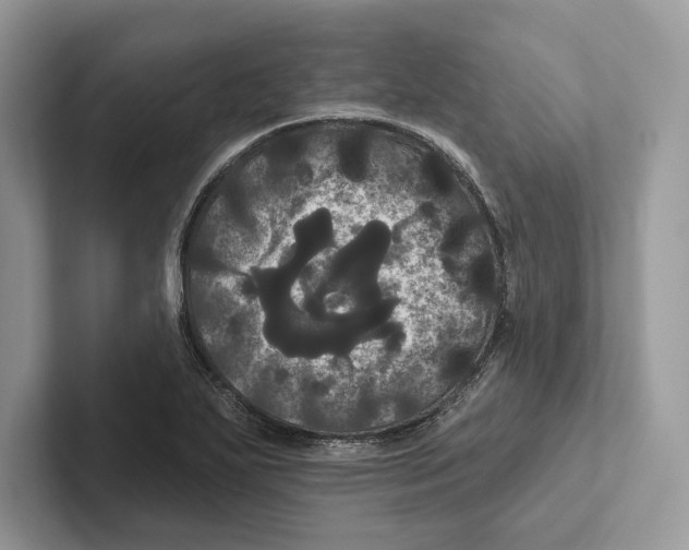 X0000100921271200807221108