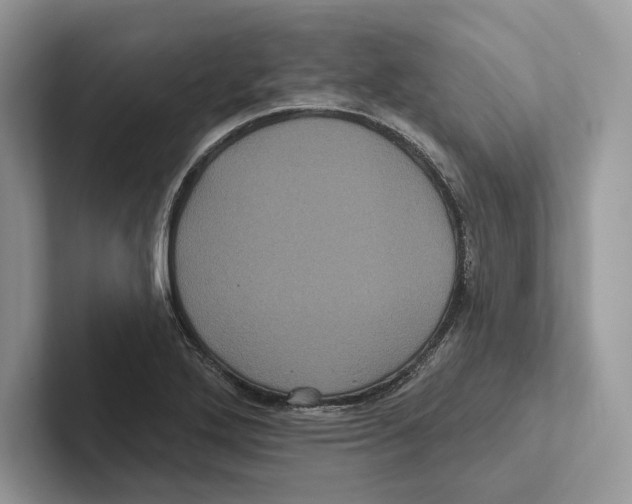 X0000100921272200807221108
