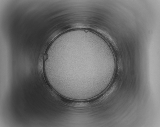X0000100921273200807221108