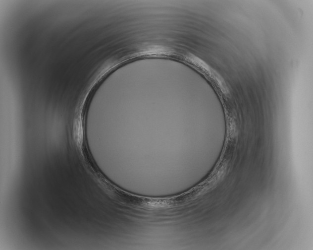 X0000100921274200807221108