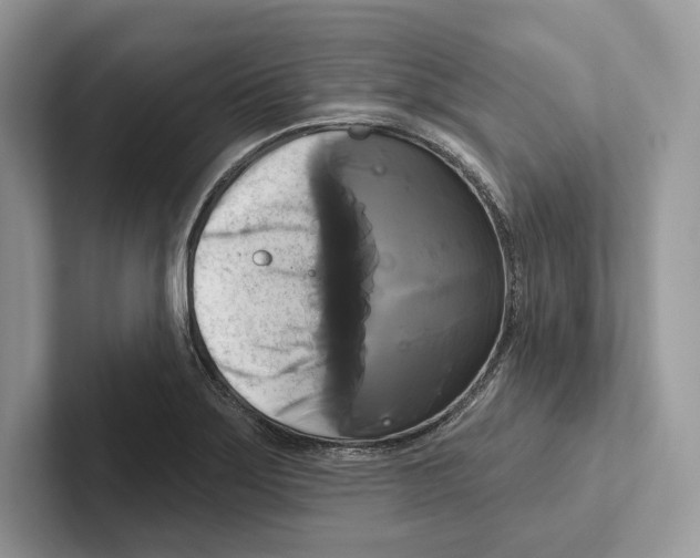 X0000100921275200807221108