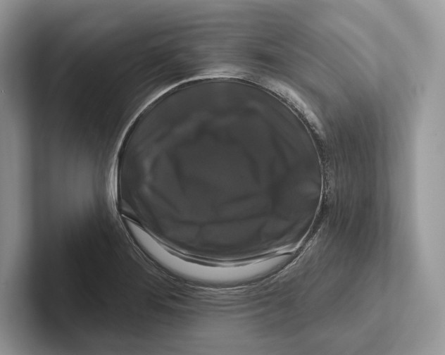 X0000100921276200807221108