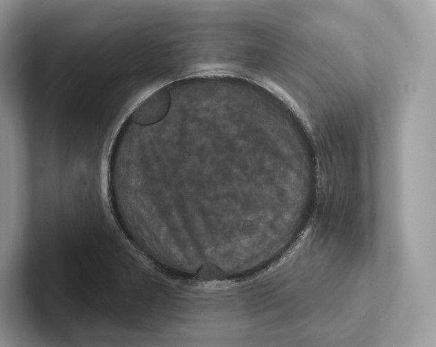 X0000100921277200807221108