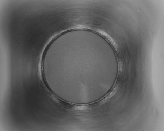 X0000100921278200807221108