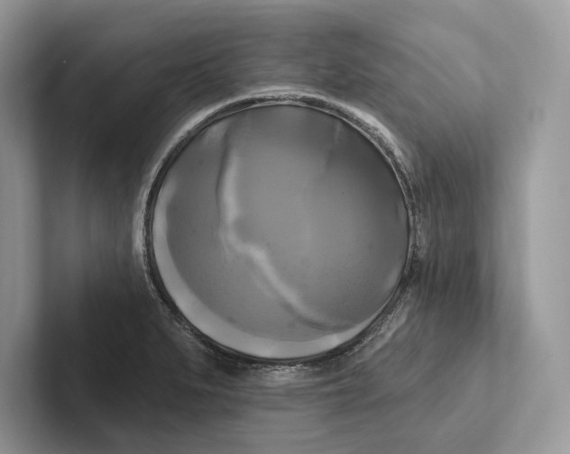 X0000100921279200807221108