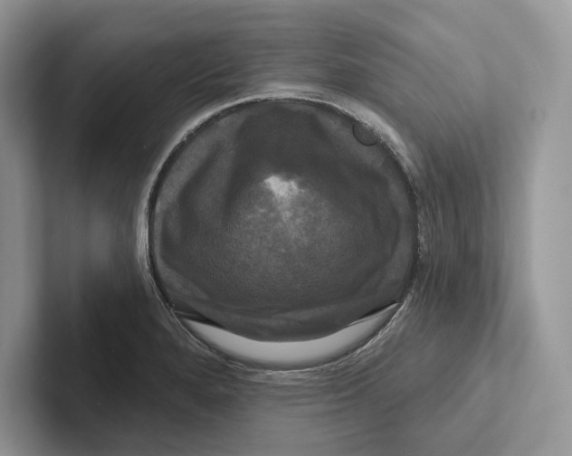 X0000100921280200807221108