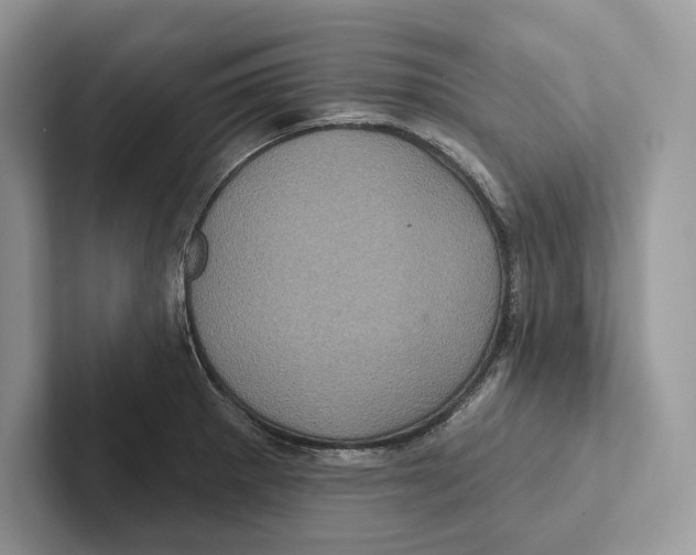 X0000100921281200807221108