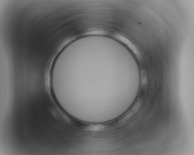 X0000100921282200807221108