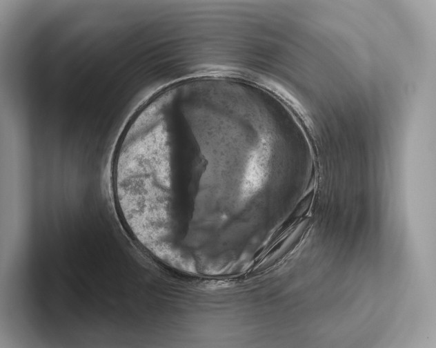X0000100921283200807221108