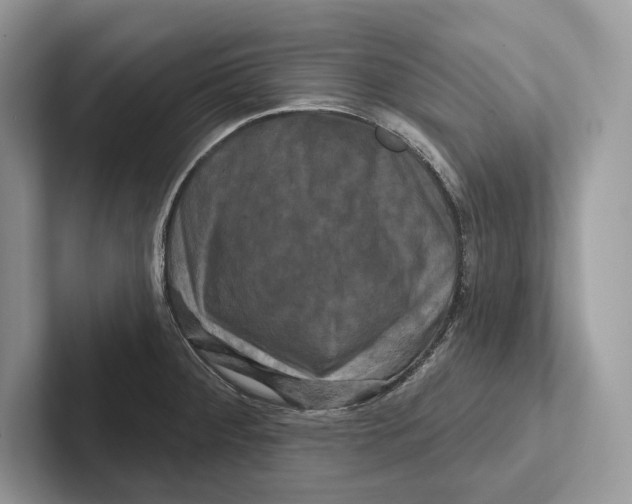 X0000100921284200807221108