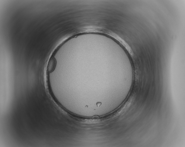 X0000100921285200807221108