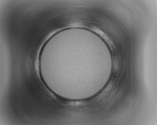 X0000100921286200807221108