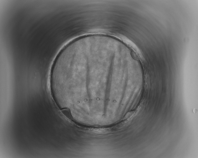 X0000100921288200807221108