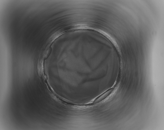 X0000100921289200807221108