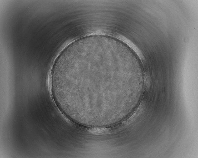X0000100921290200807221108
