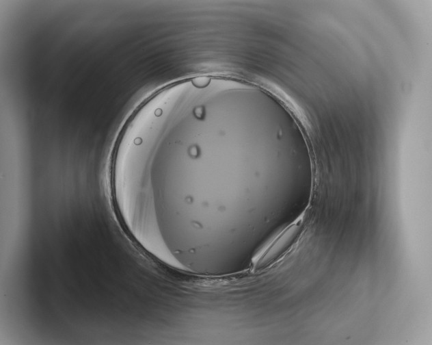 X0000100921291200807221108