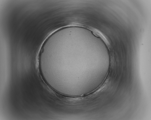 X0000100921292200807221108