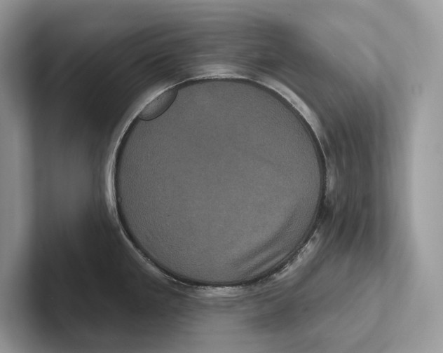 X0000100921293200807221108