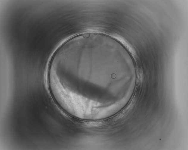 X0000100921294200807221108