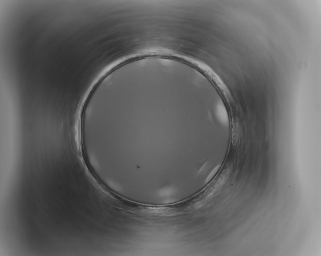 X0000100921295200807221108
