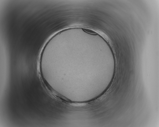 X0000100921296200807221108