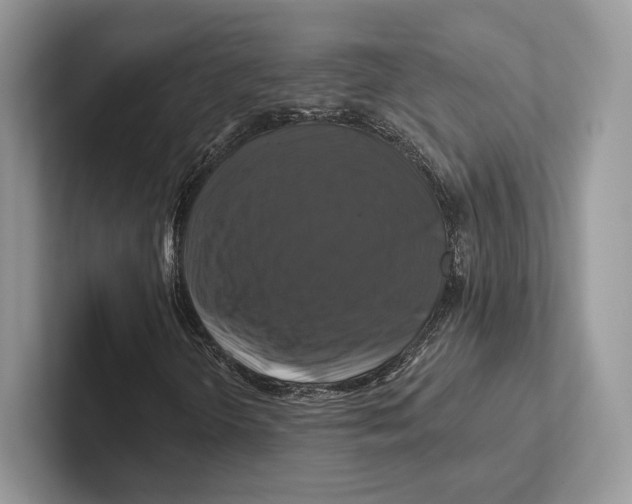 X0000100921298200807221107
