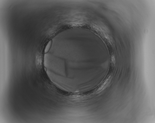 X0000100921300200807221107