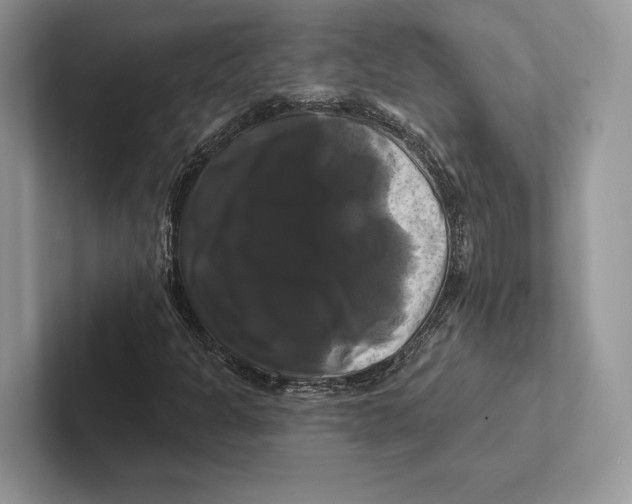 X0000100921301200807221107
