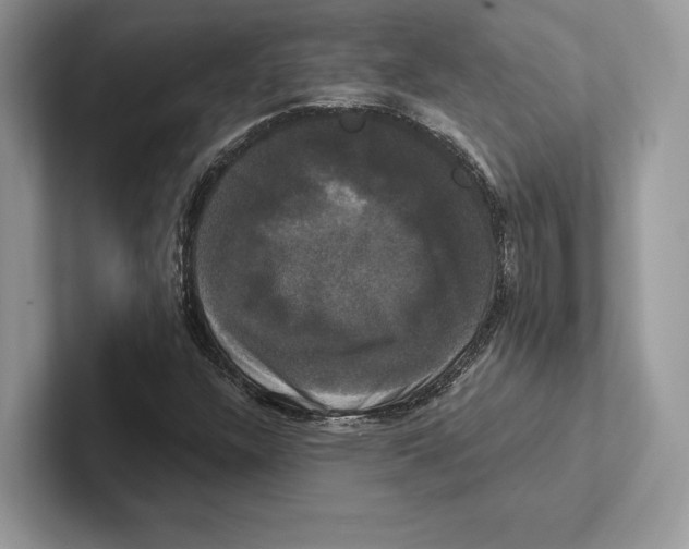 X0000100921304200807221107