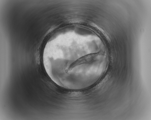 X0000100921306200807221107