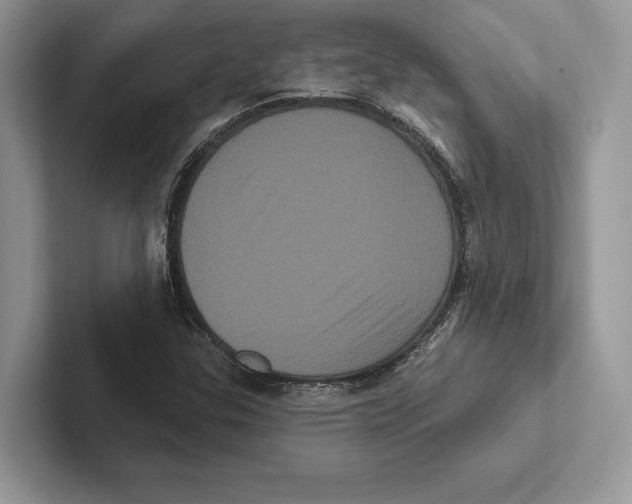 X0000100921307200807221107