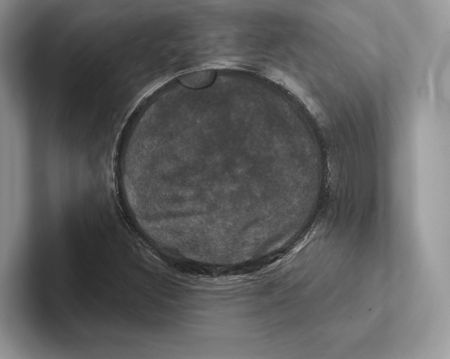X0000100921308200807221107