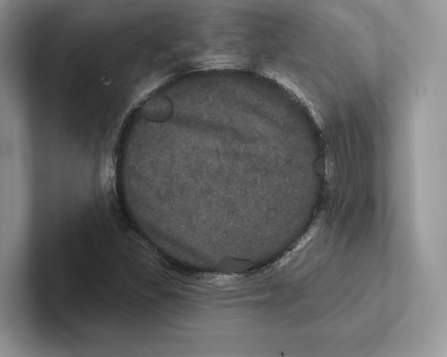 X0000100921309200807221107